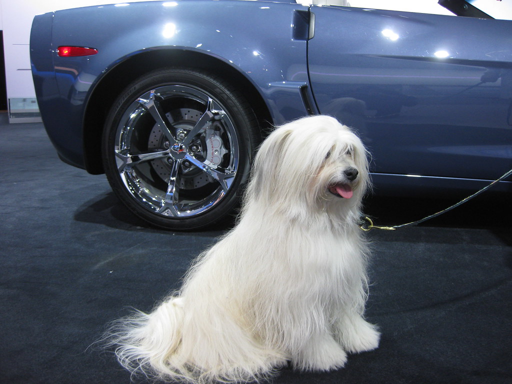 Cooked Bones - The Splintering Nightmare (Image Credits: Flickr)