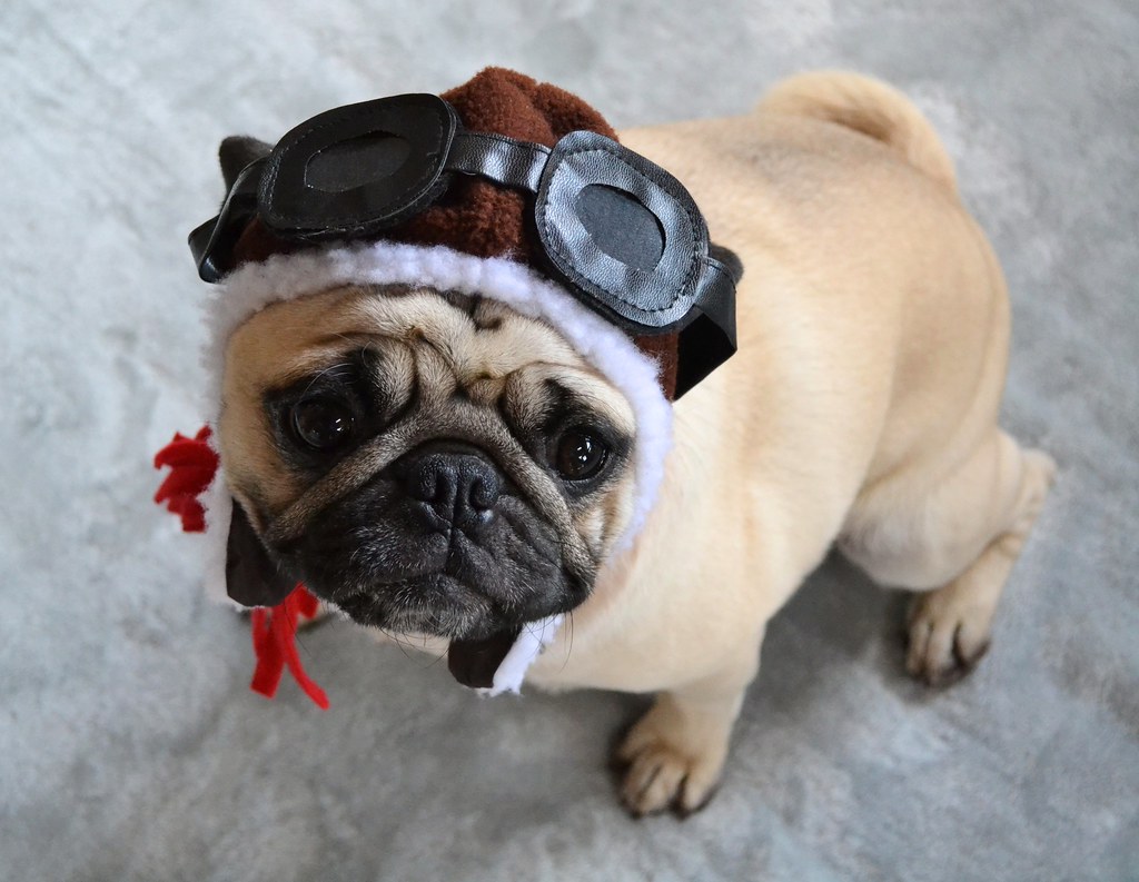 Conclusion (Image Credits: Flickr)