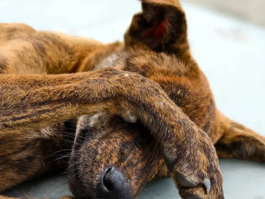 #11 Past Trauma and Emotional History (Image Credits: Pexels)