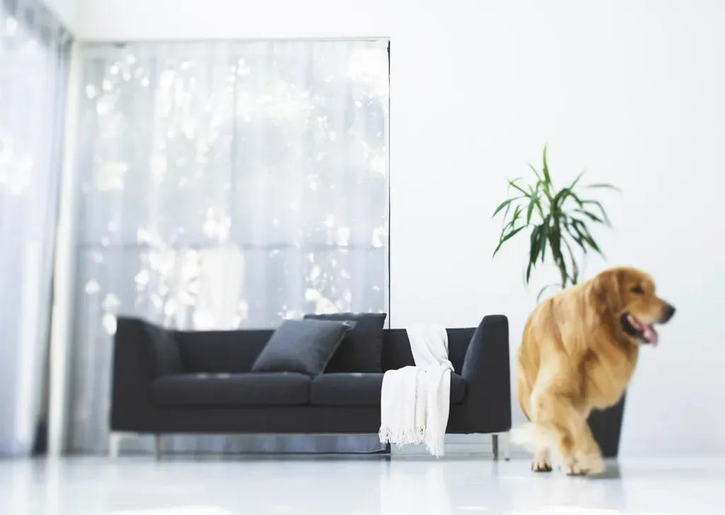How to Help Your Dog Adjust to Changes (Image Credits: Rawpixel)