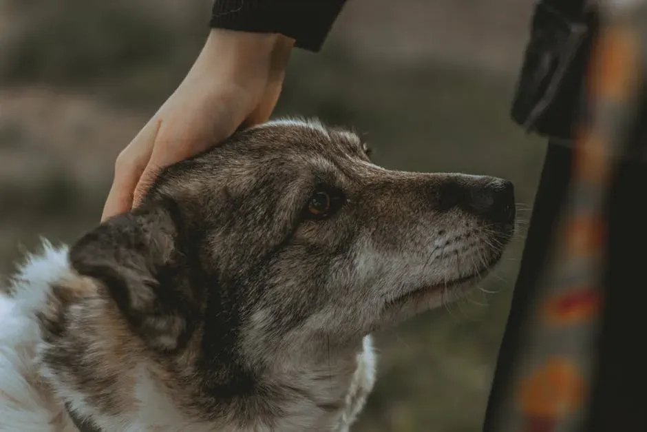 #3. Dogs Remember You - More Than You Realize (Image Credits: Pexels)