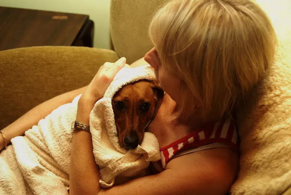 The Hidden Stressors In Your Home (Image Credits: Flickr)