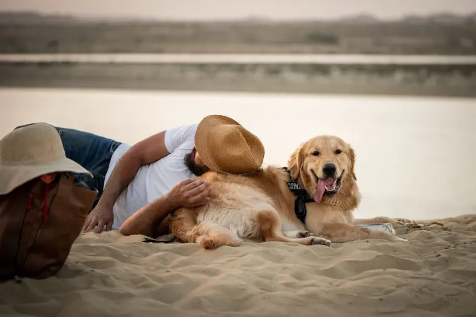 #2 - Rearranging Their Entire Bed Around One Sleeping Dog (Image Credits: Pexels)