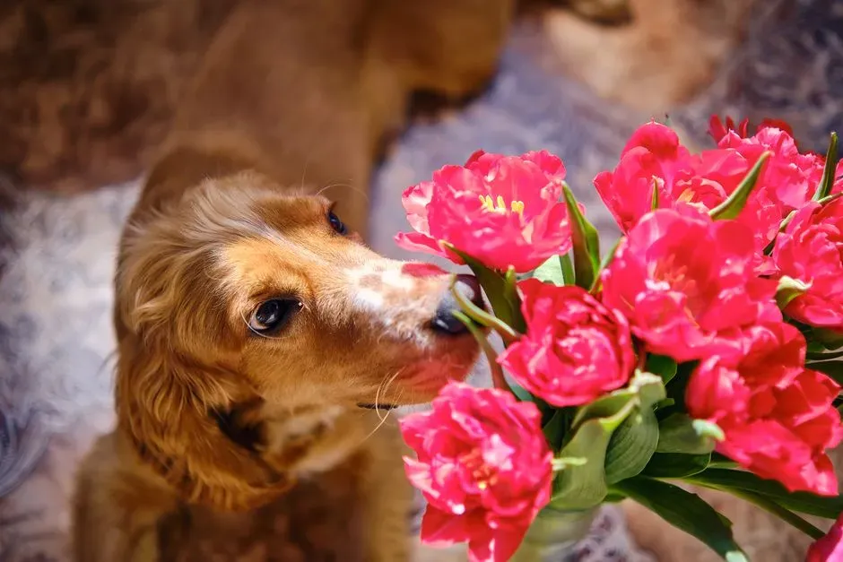 #13 - Medication, Trash, and "Cute Sharing" Can Turn Deadly Fast (Image Credits: Pexels)