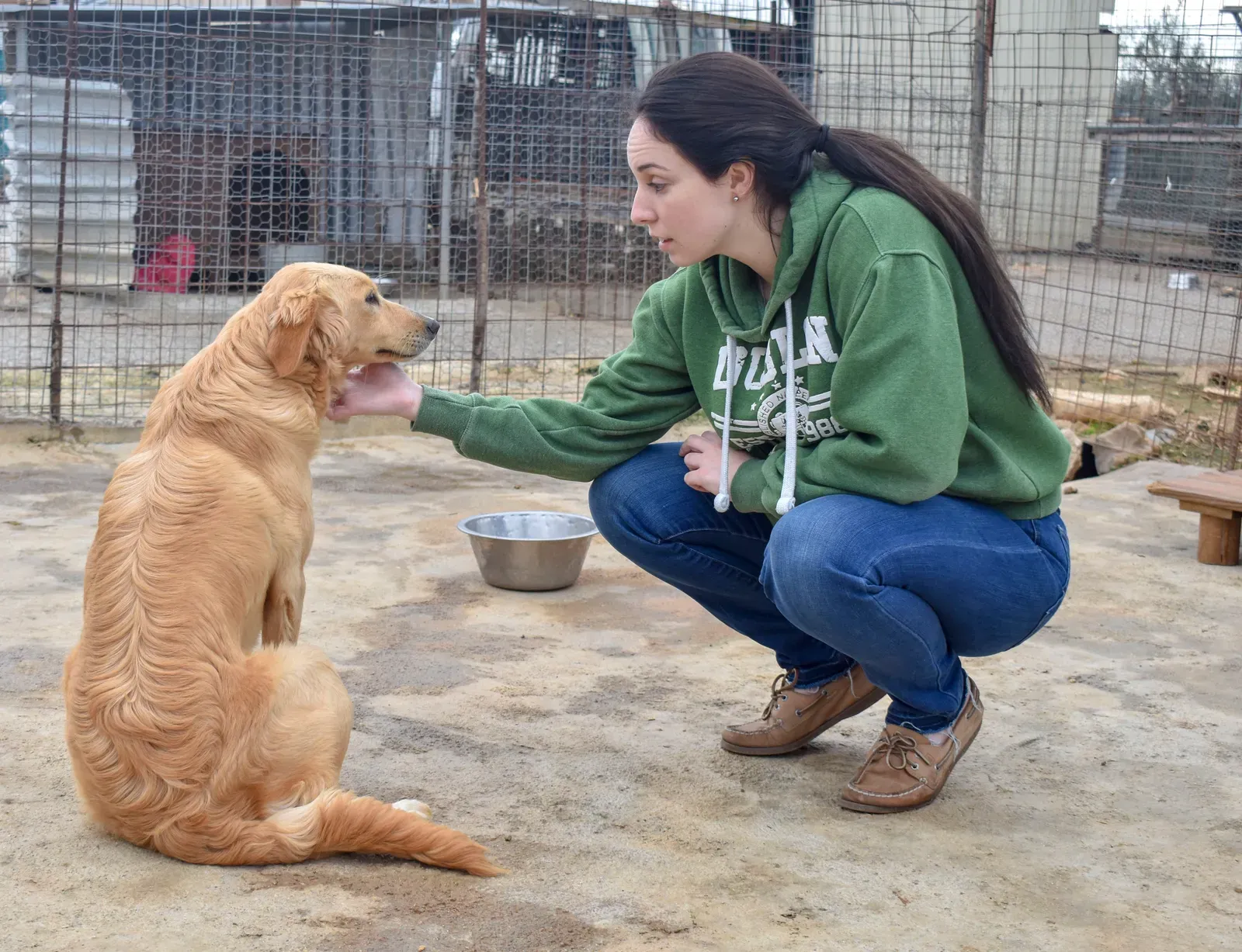 Conclusion: Your Compassion Deserves Better (Image Credits: Wikimedia)