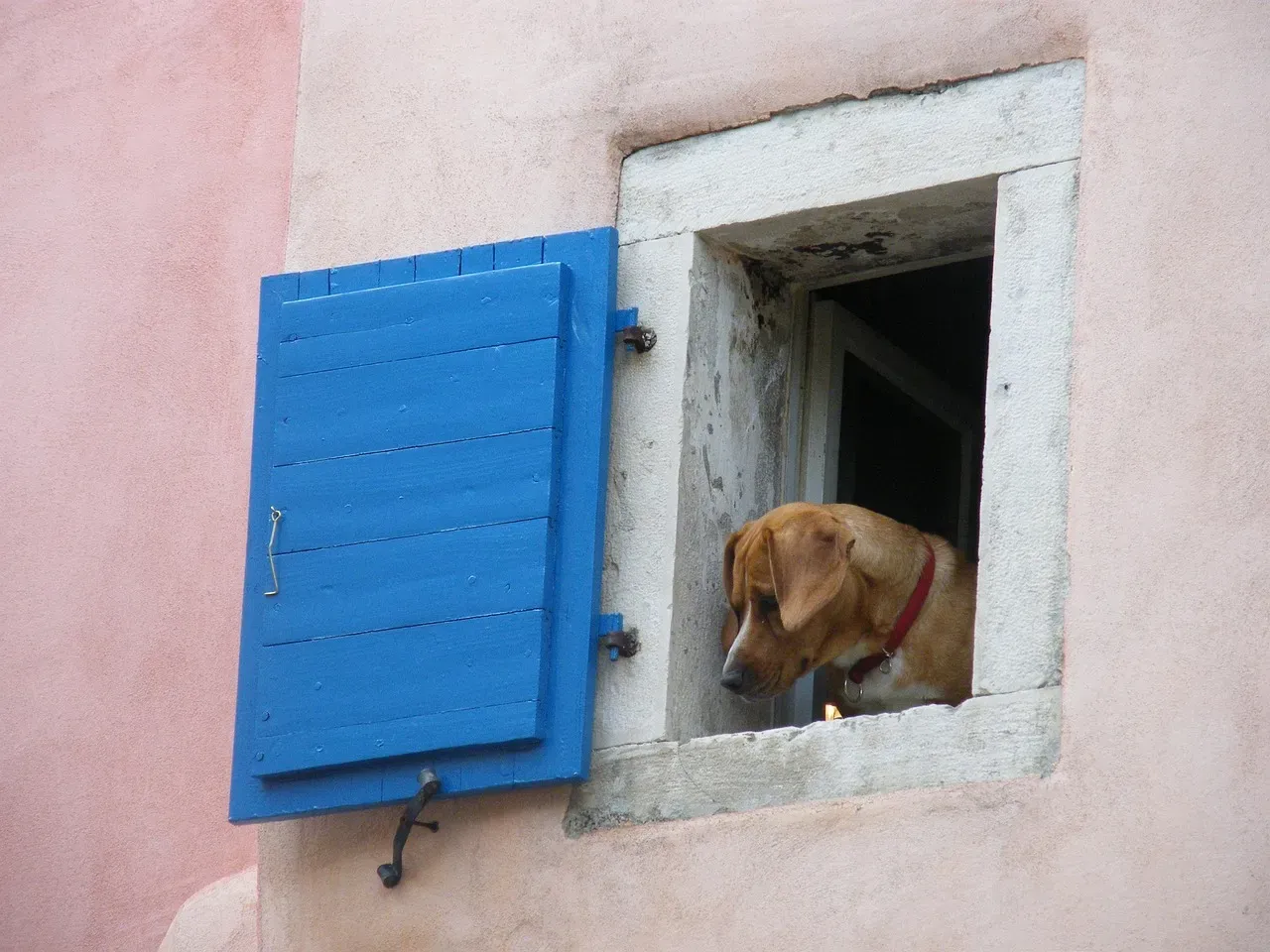 #1 - The Sudden Window-Watching Begins (Image Credits: Pixabay)