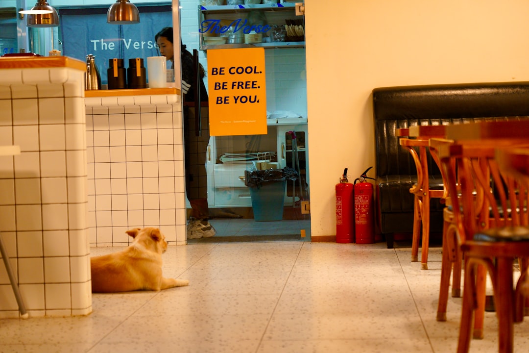Dog-Friendly Business Culture (Image Credits: Unsplash)