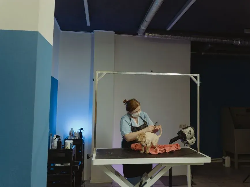#23 - Treating Groomers Like "Service Workers" Instead of Animal Experts (Image Credits: Pexels)
