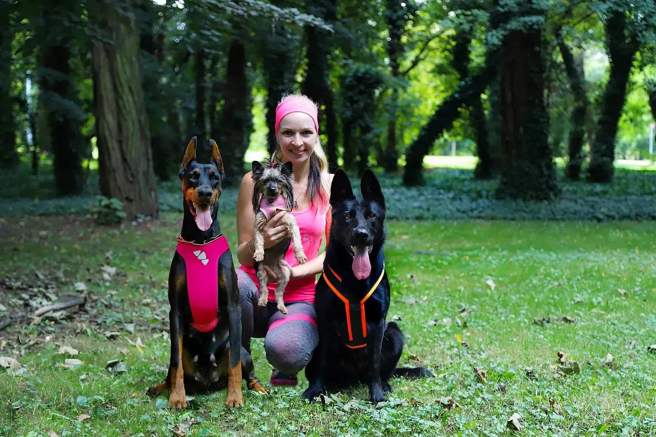 Conclusion (Image Credits: Pixabay)