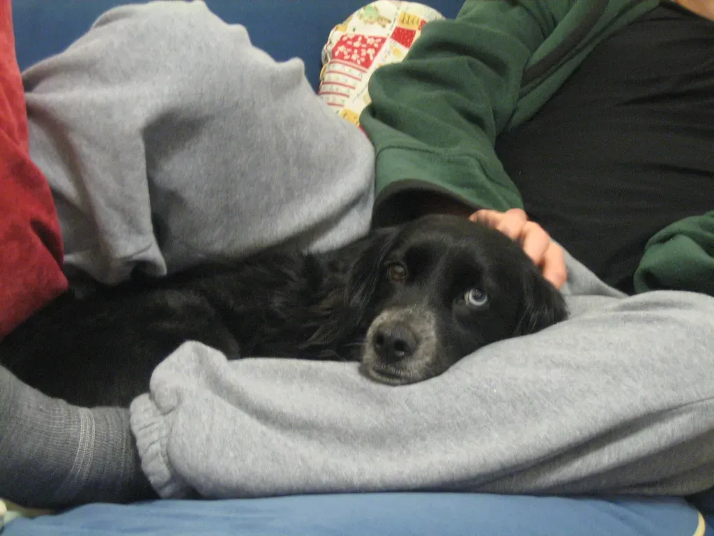 Teasing: It's Not Funny to Them (skvidal, Flickr, CC BY-SA 2.0)