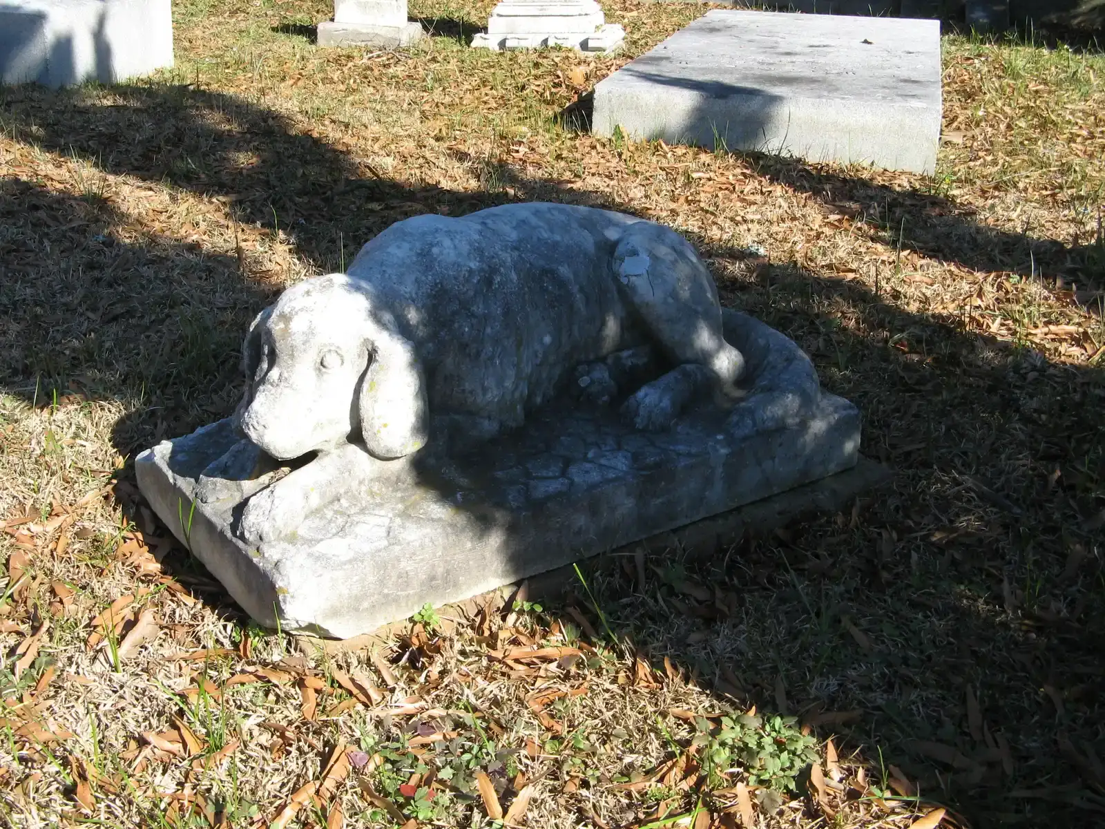 Silent Vigil at the Graveside (Faithful Dog, CC BY 2.0)