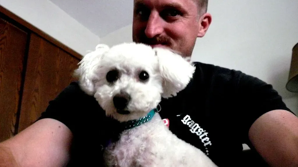 12. Bichon Frise: The Joyful Little Homebody (Ubi Desperare Nescio, Flickr, CC BY-SA 2.0)