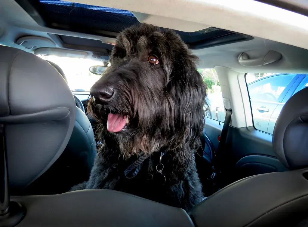 The Routine Flexibility Paradox: When Life Demands Change (Image Credits: Flickr)