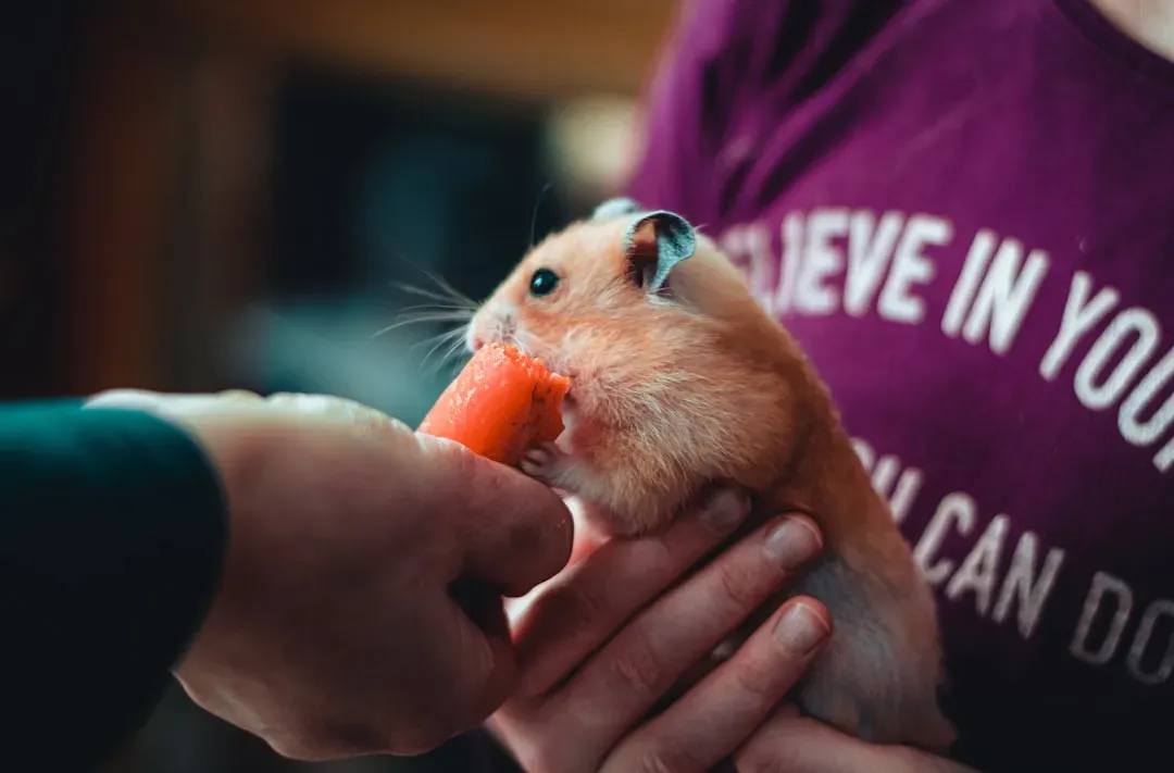 #8 They Respond to Hand-Feeding as a Form of Trust (Image Credits: Unsplash)