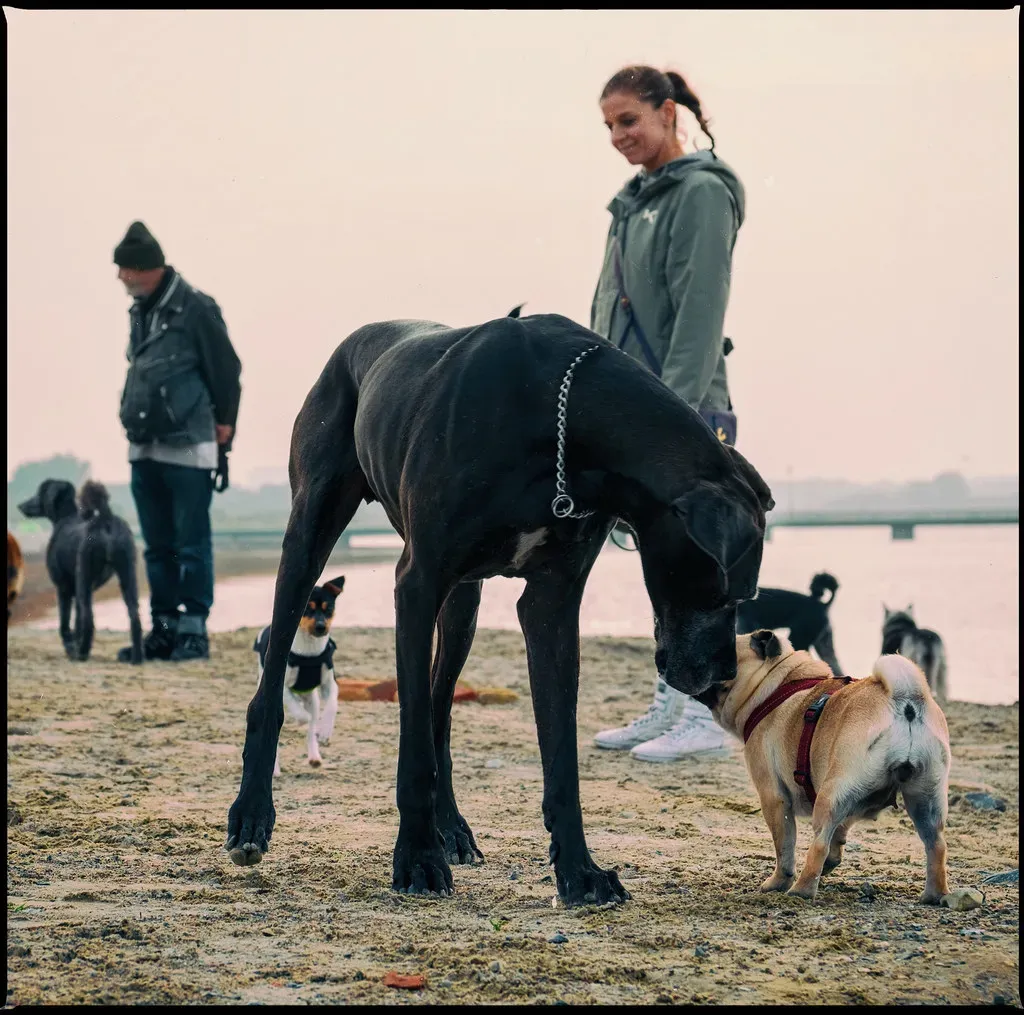 Conclusion (Image Credits: Flickr)