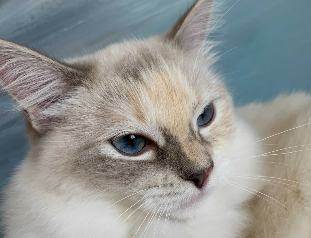 Perfect Family Pets Who Love Children (Image Credits: Unsplash)