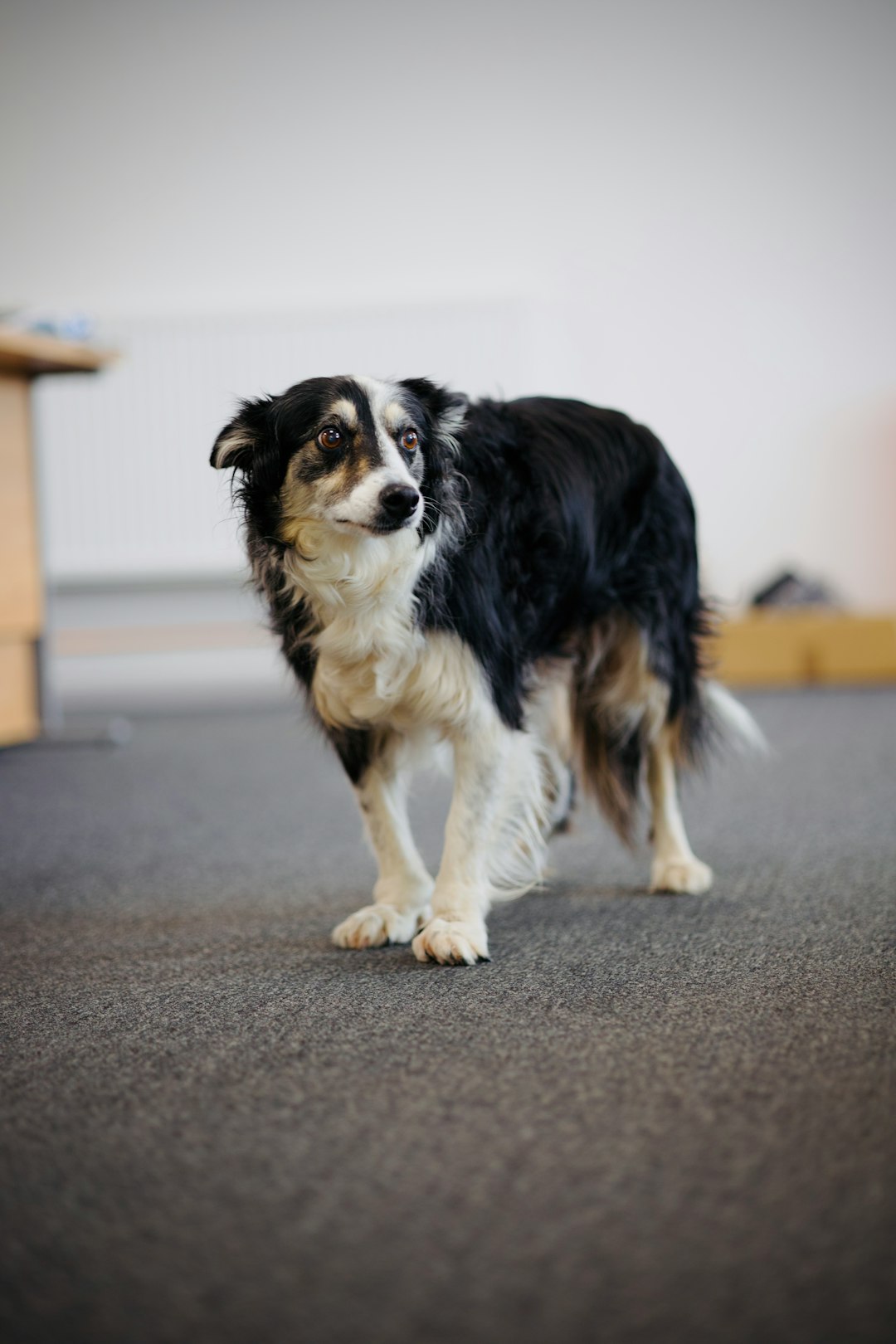 When Intelligence Becomes a Double-Edged Sword (Image Credits: Unsplash)