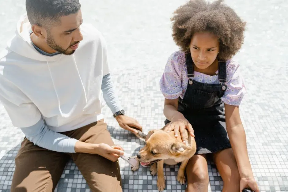 Why Do Dogs Feel Jealous? (Image Credits: Pexels)