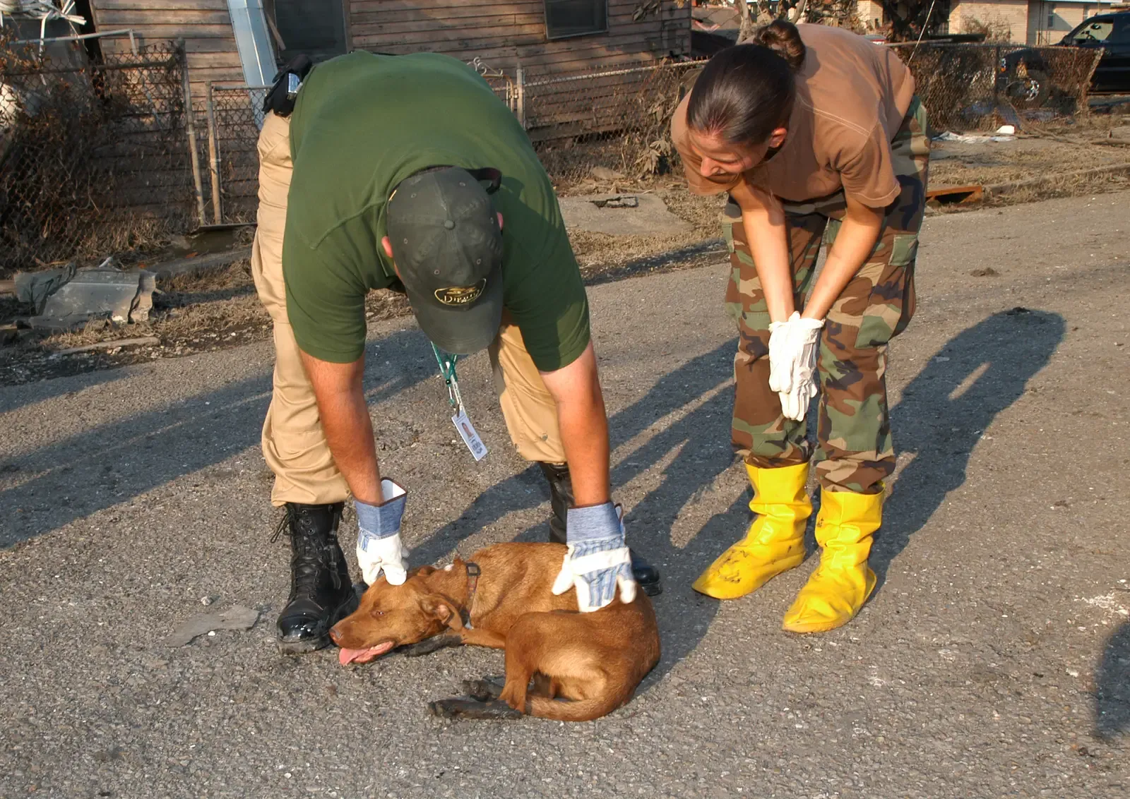 Cancer: The Nurturing Companion (This image is from the FEMA Photo Library (obsolete as of 2019).An archived copy may be found at the Wayback Machine (note: link may be permanently dead, as not all photos were backed up in this way).If the FEMA link is permanently dead, the photo can be found at NARA Access to Archival Databases (only works if photo was taken between 1989 and October 2004), or at City-data.com., Public domain)