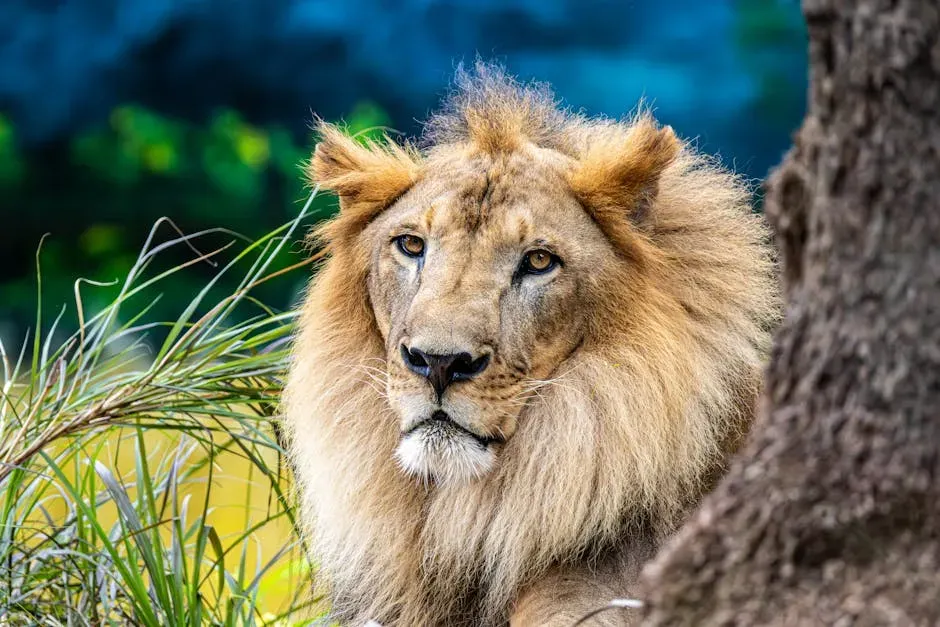 #5. Leo (July 23 – August 22): The Lion (Image Credits: Pexels)