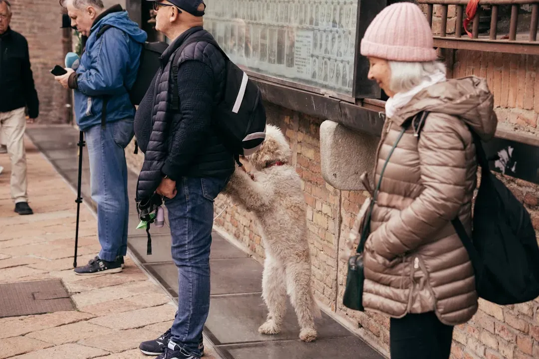 Unfamiliar People and Strangers (Image Credits: Unsplash)