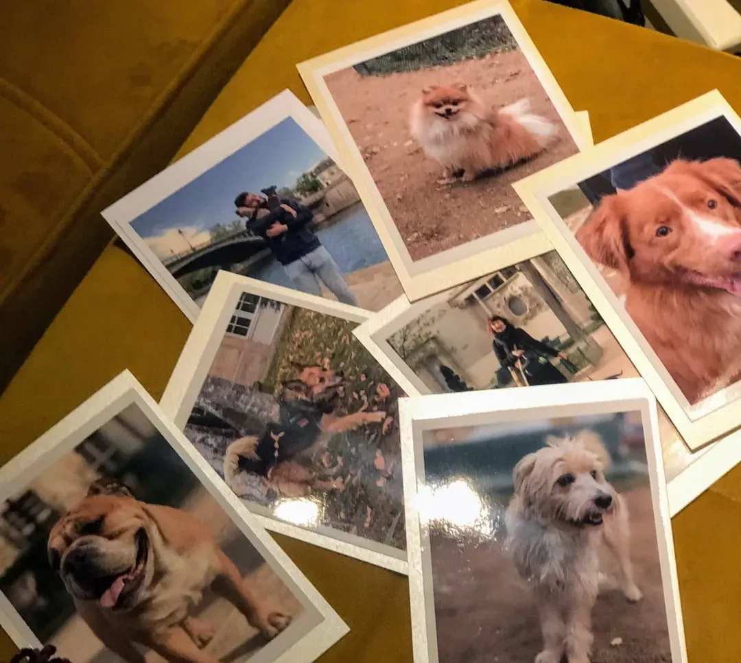 Honor Their Memory with a Ritual That Fits You (Image Credits: Unsplash)