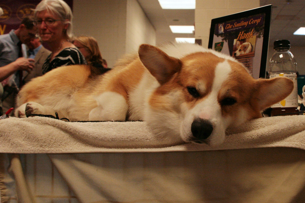 Indoor Exercise Ideas to Beat Cabin Fever (Image Credits: Flickr)