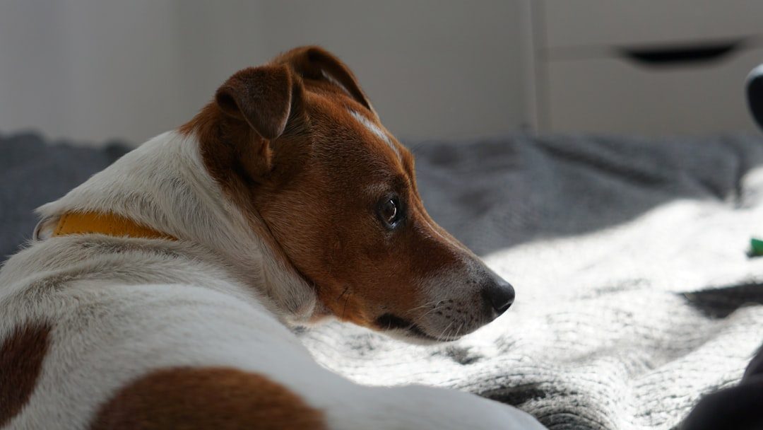 The Simple Truth: You Might Just Be There (Image Credits: Unsplash)