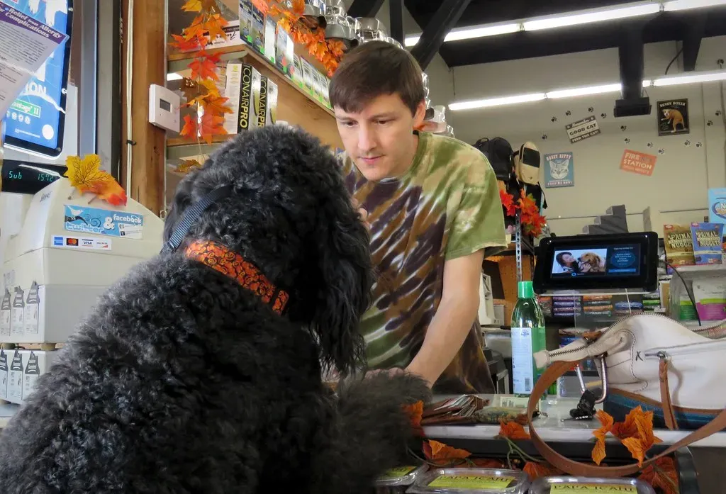 Taurus: The Steadfast Companion (Image Credits: Flickr)