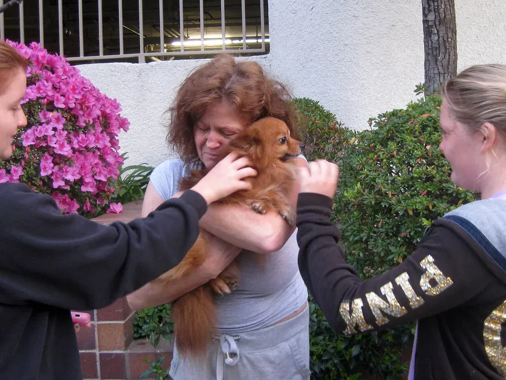 They Get Excited When You Return Home (Ryan Dickey, Flickr, CC BY 2.0)