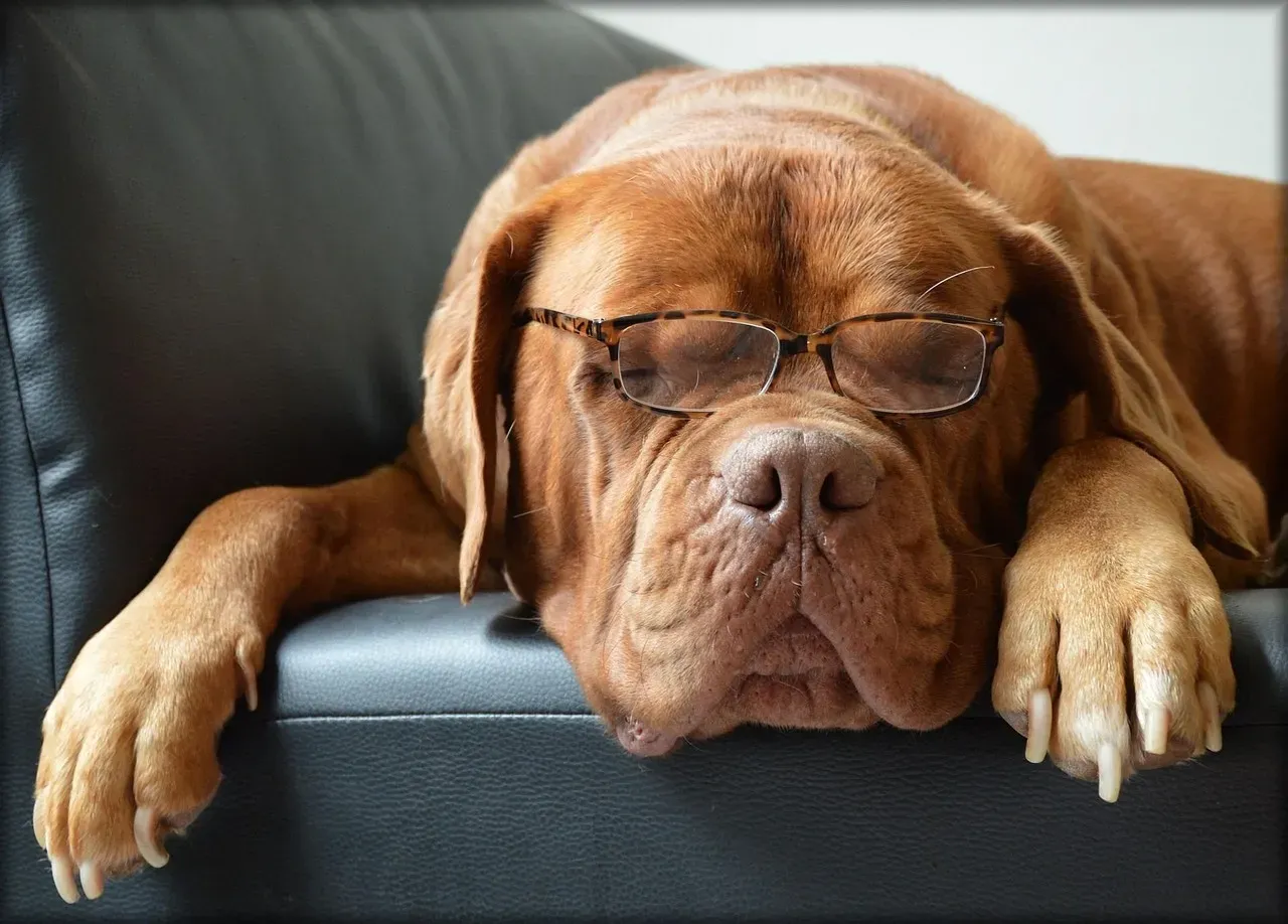 #14 - "I Finally Feel Safe Enough To Relax" (Image Credits: Pixabay)