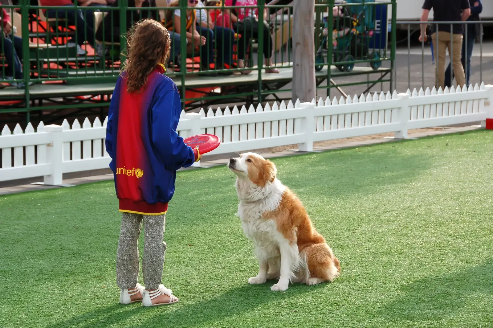 Conclusion: A New Way to See Your Dog (Image Credits: Wikimedia)