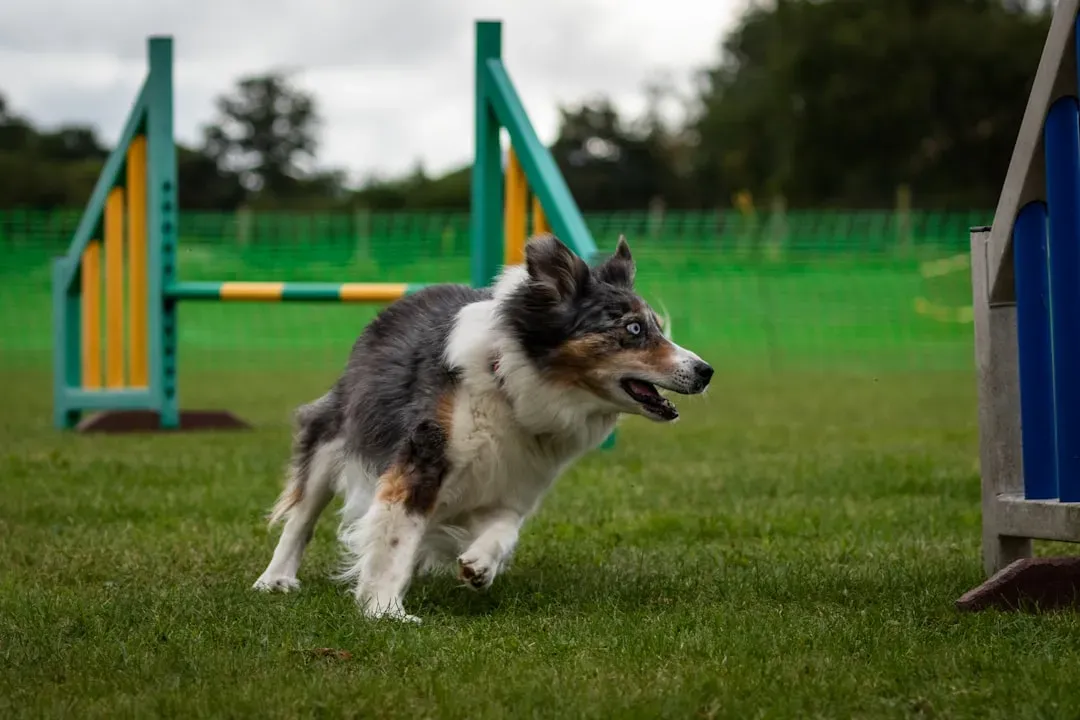 #17 - Quietly Testing Boundaries Like Tiny Behavioral Scientists (Image Credits: Unsplash)