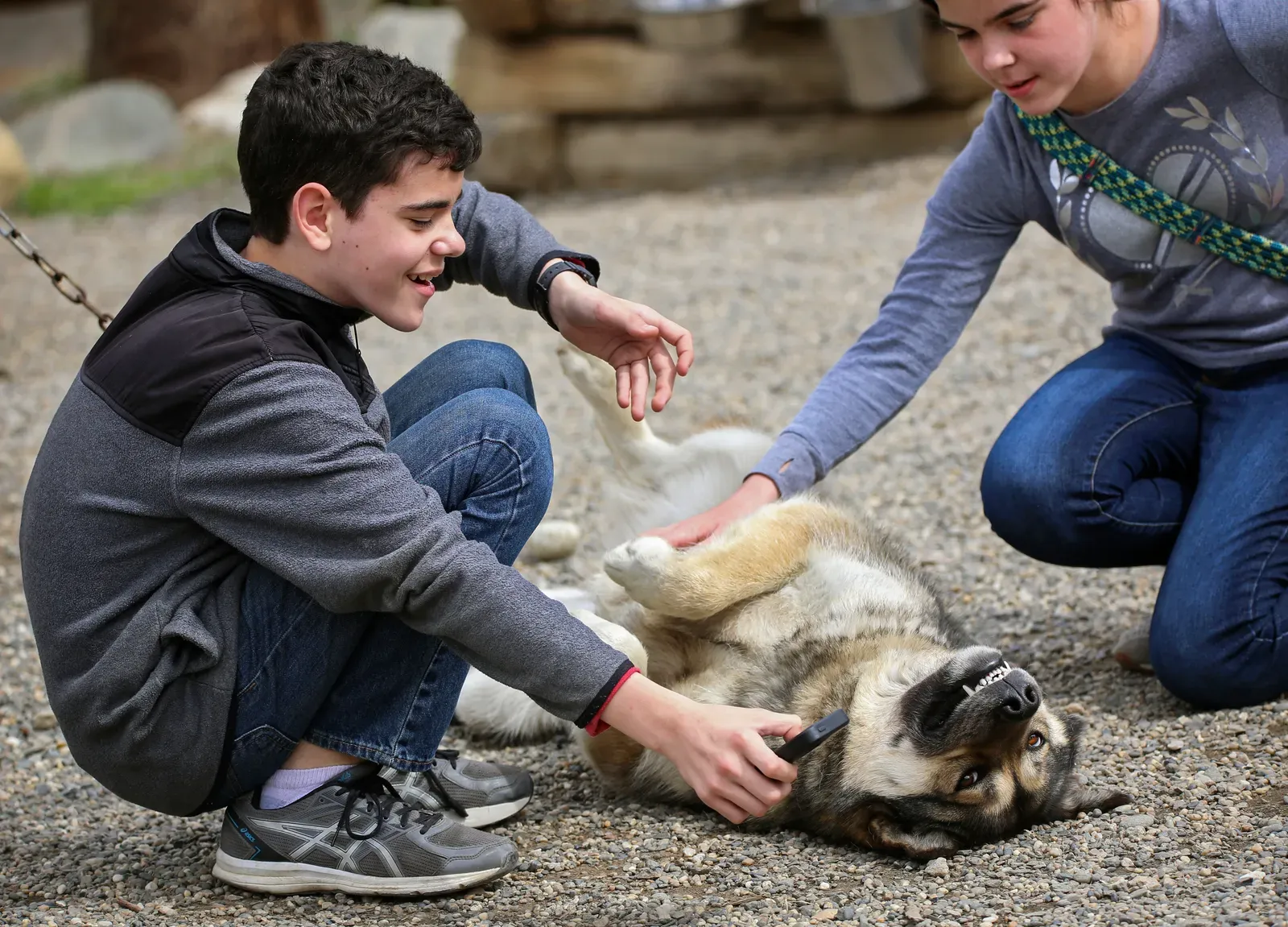 Seeking Contact On Their Own Terms Speaks Volumes (Image Credits: Wikimedia)