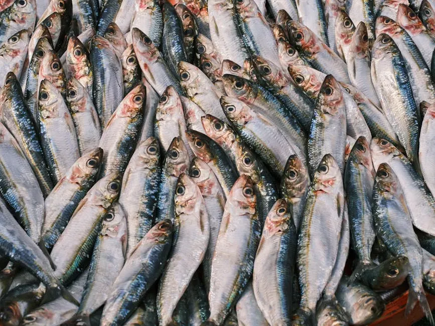 2. Sardines: Small Fish, Big Nutrition (Image Credits: Pexels)