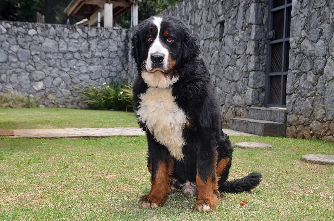 Conclusion (Image Credits: Unsplash)