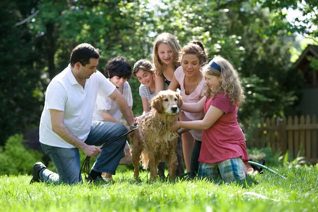 Conclusion: The Best Family Dog Is the One That Fits Your Life and Your Wallet (Image Credits: Unsplash)