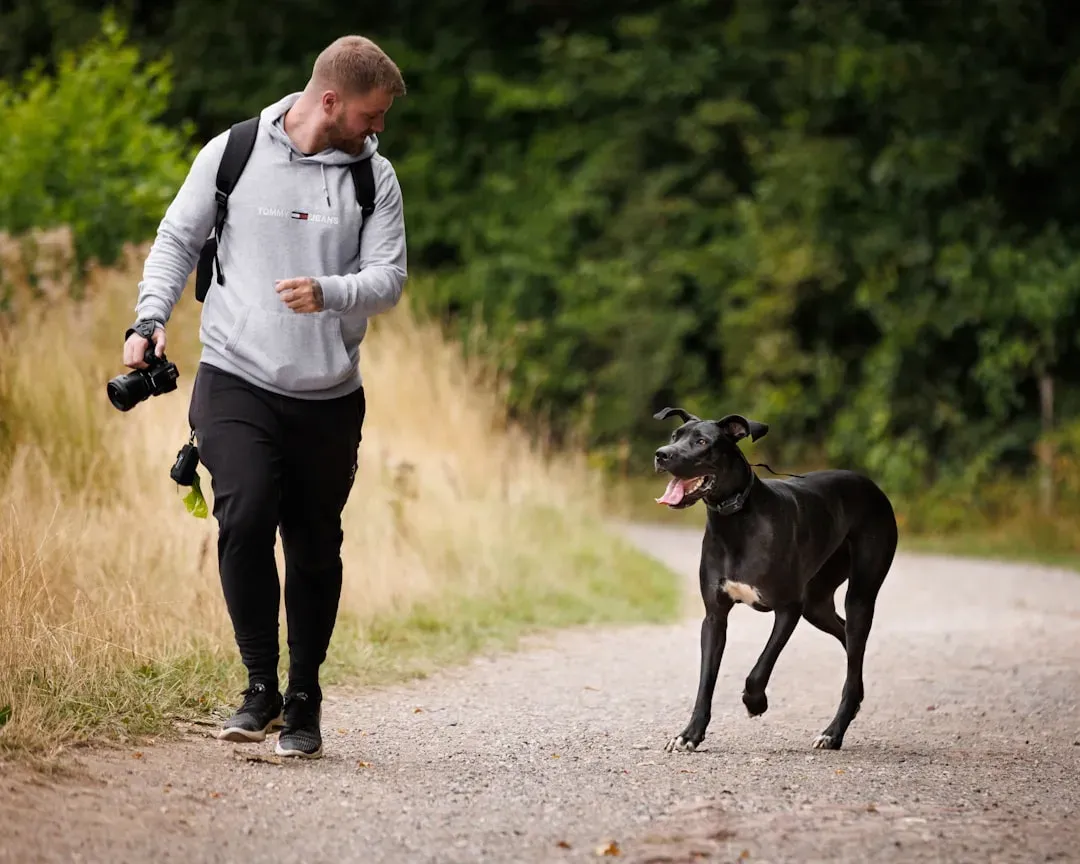 Startle, Run, or Snuggle: What a Frightened Dog’s First Move Reveals (Image Credits: Unsplash)