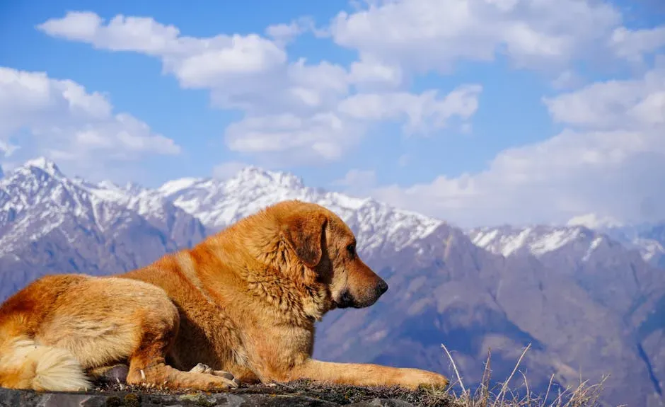Now, the 5 That Struggle: Breeds to Approach With Caution (Image Credits: Pexels)
