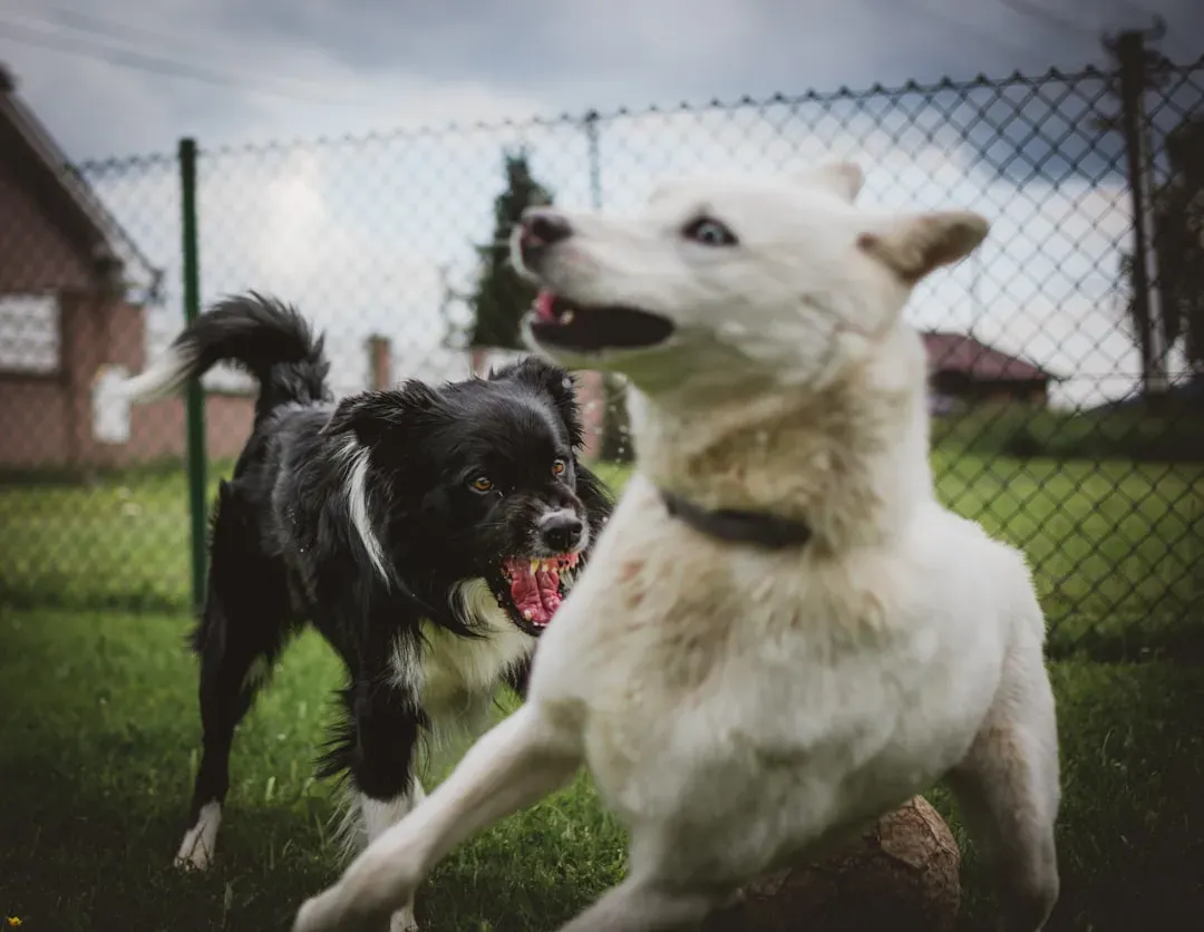 2. They Take Breaks Together Instead of Just Walking Away (Image Credits: Unsplash)
