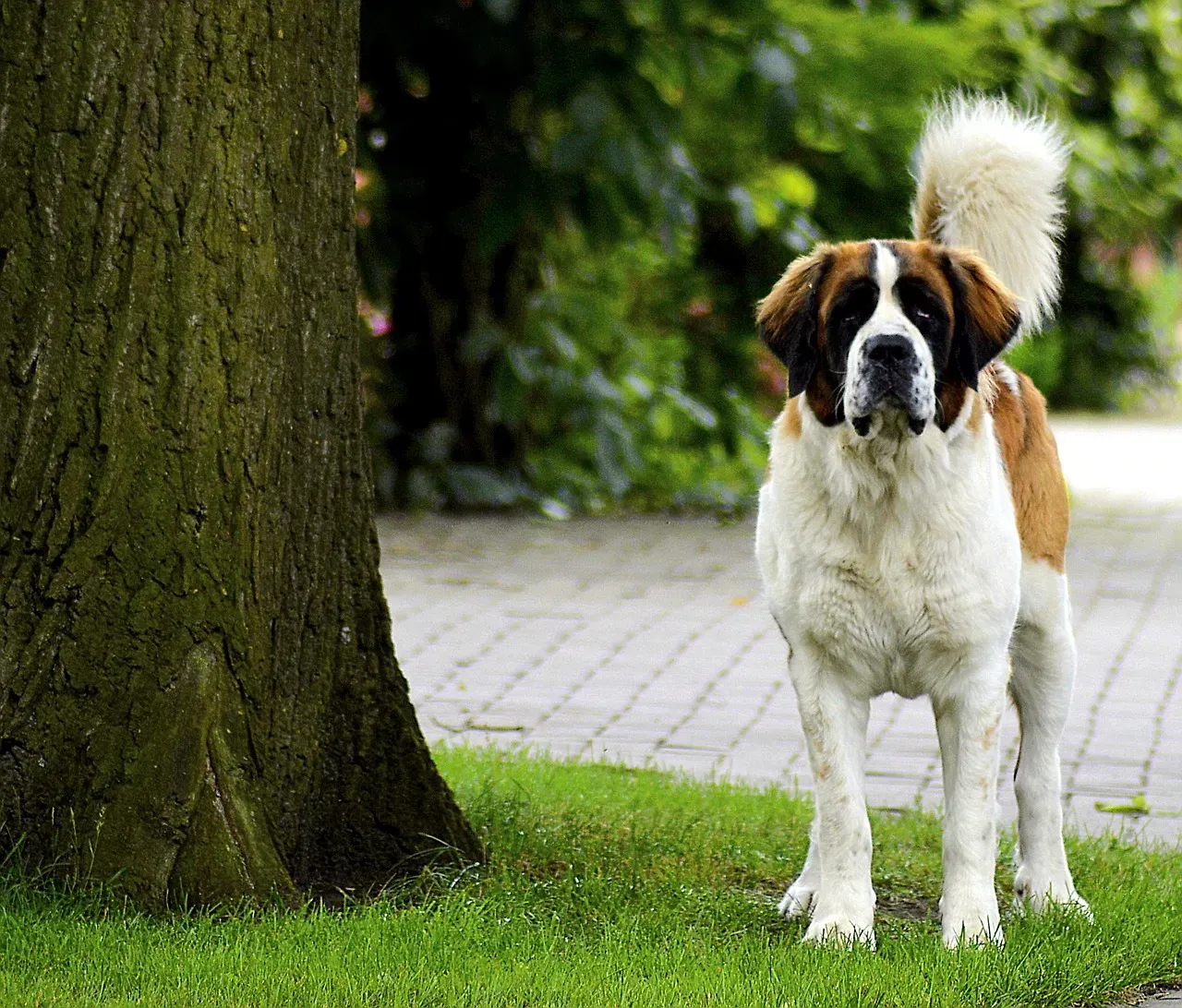 3. Hypervigilance and Scanning the Room (Image Credits: Pixabay)
