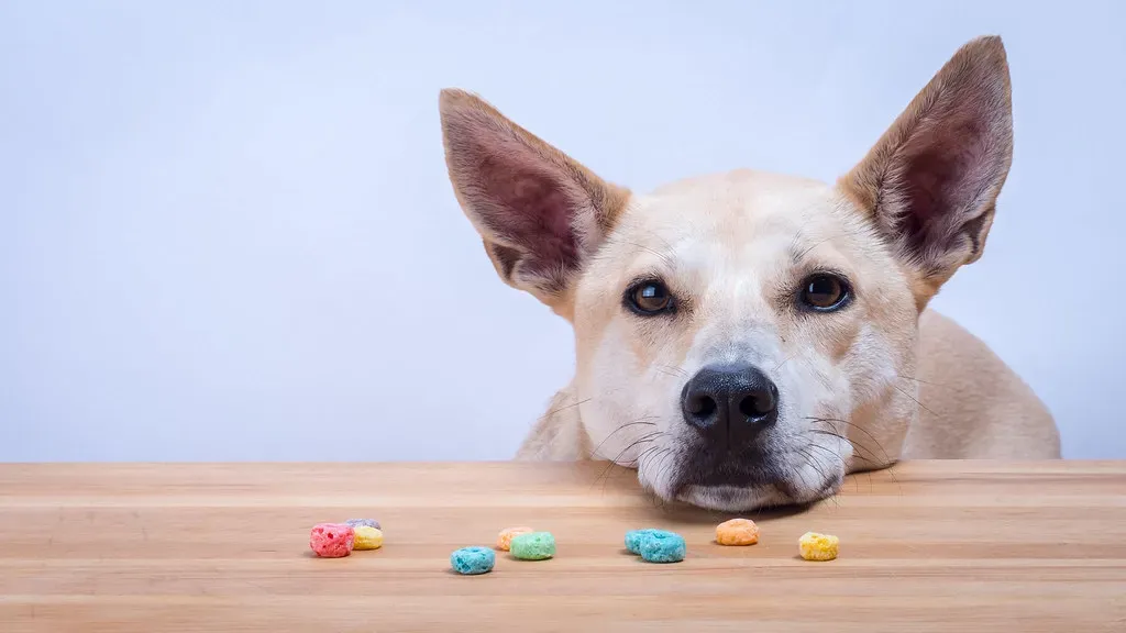 Cantaloupe: Hydrating Summer Snack (Image Credits: Flickr)