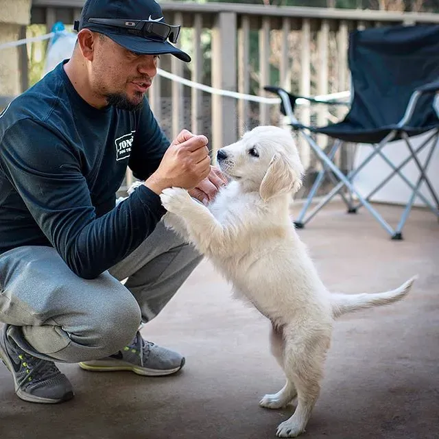Rinse Paws After Swimming (Image Credits: Flickr)