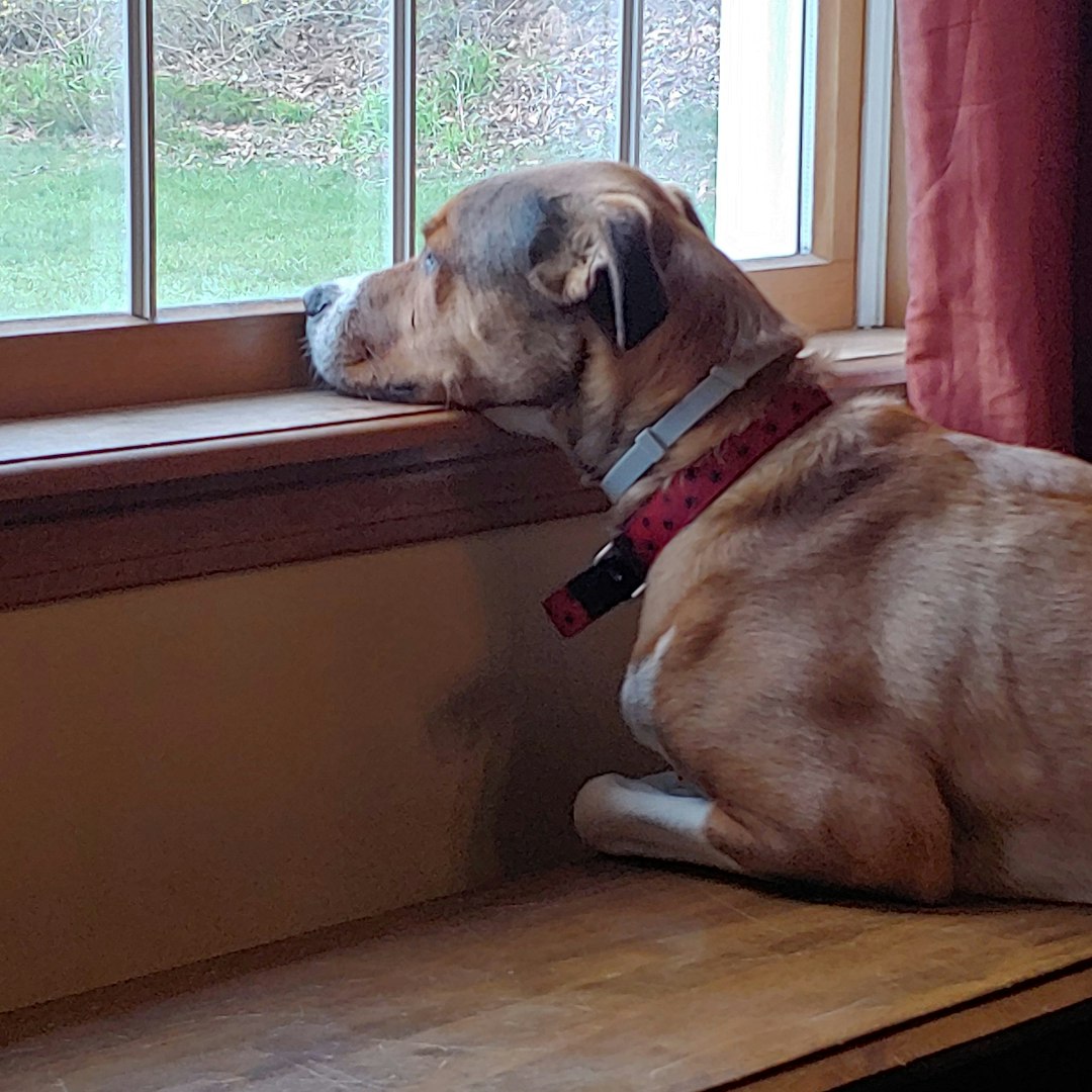 Anxiety and Stress Can Cause Zoning Out (Image Credits: Unsplash)