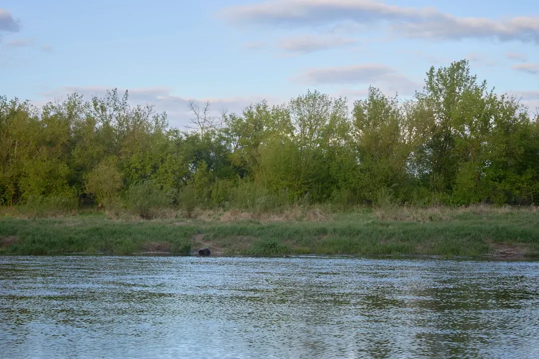 Shaping River Geomorphology (Image Credits: Unsplash)