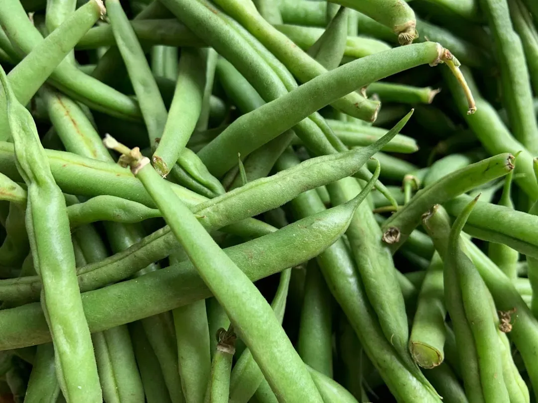 Green Beans: The Underrated Everyday Snack (Image Credits: Unsplash)