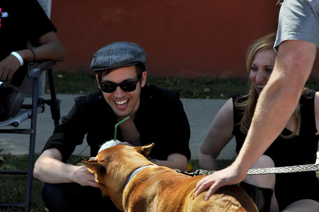 6. Approaching Them Head-On (Image Credits: Flickr)