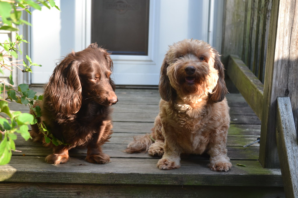 Nature's Call: The Universal Need for Bathroom Breaks (Image Credits: Flickr)