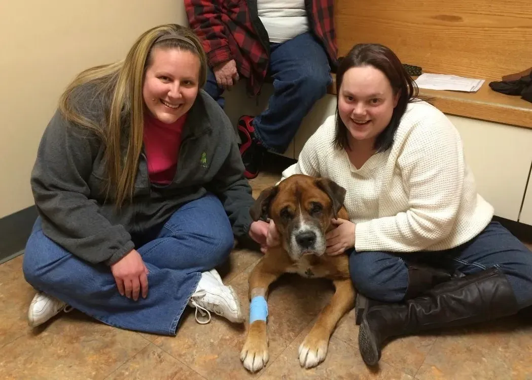 They're Standing Guard Over You (Image Credits: Wikimedia)