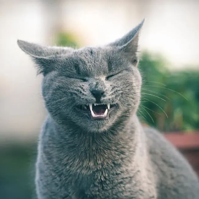 #9. Vocalizing Freely and Confidently (Image Credits: Pexels)
